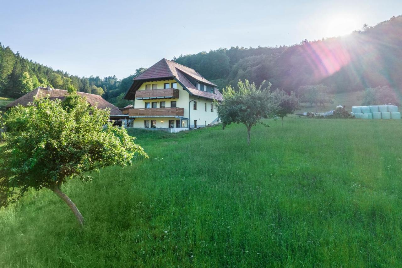 Ferienwohnung Ohnemus Schuttertal المظهر الخارجي الصورة